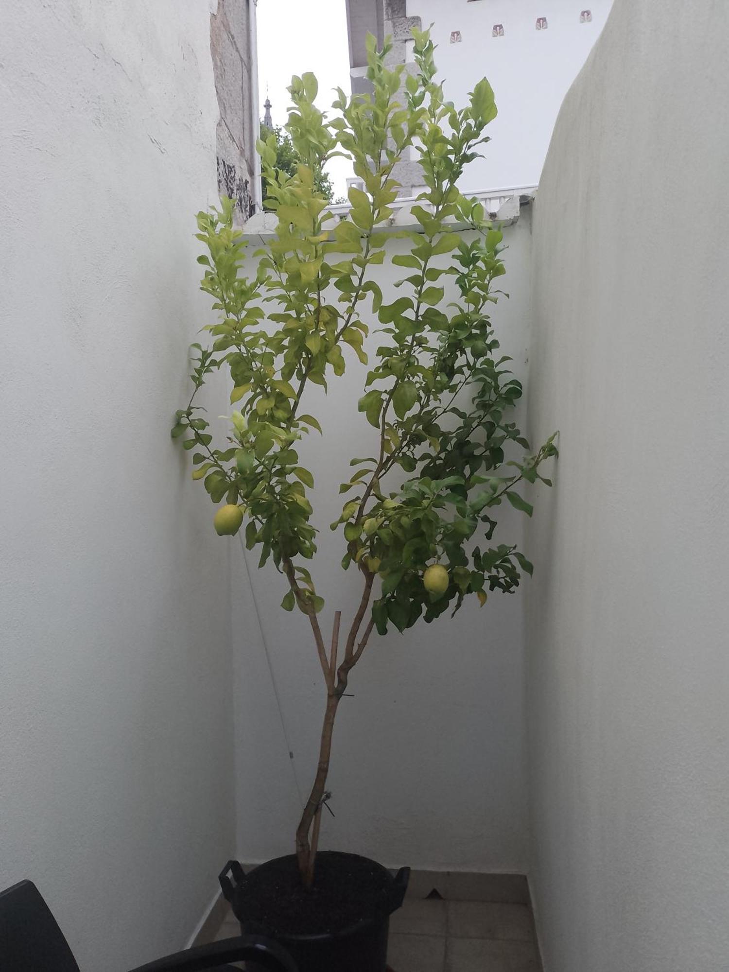 Appartamento Atalaya Mundaka Esterno foto